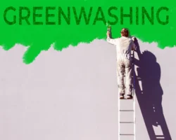 MODA ETICA: SI FA PRESTO A DIRE GREEN!